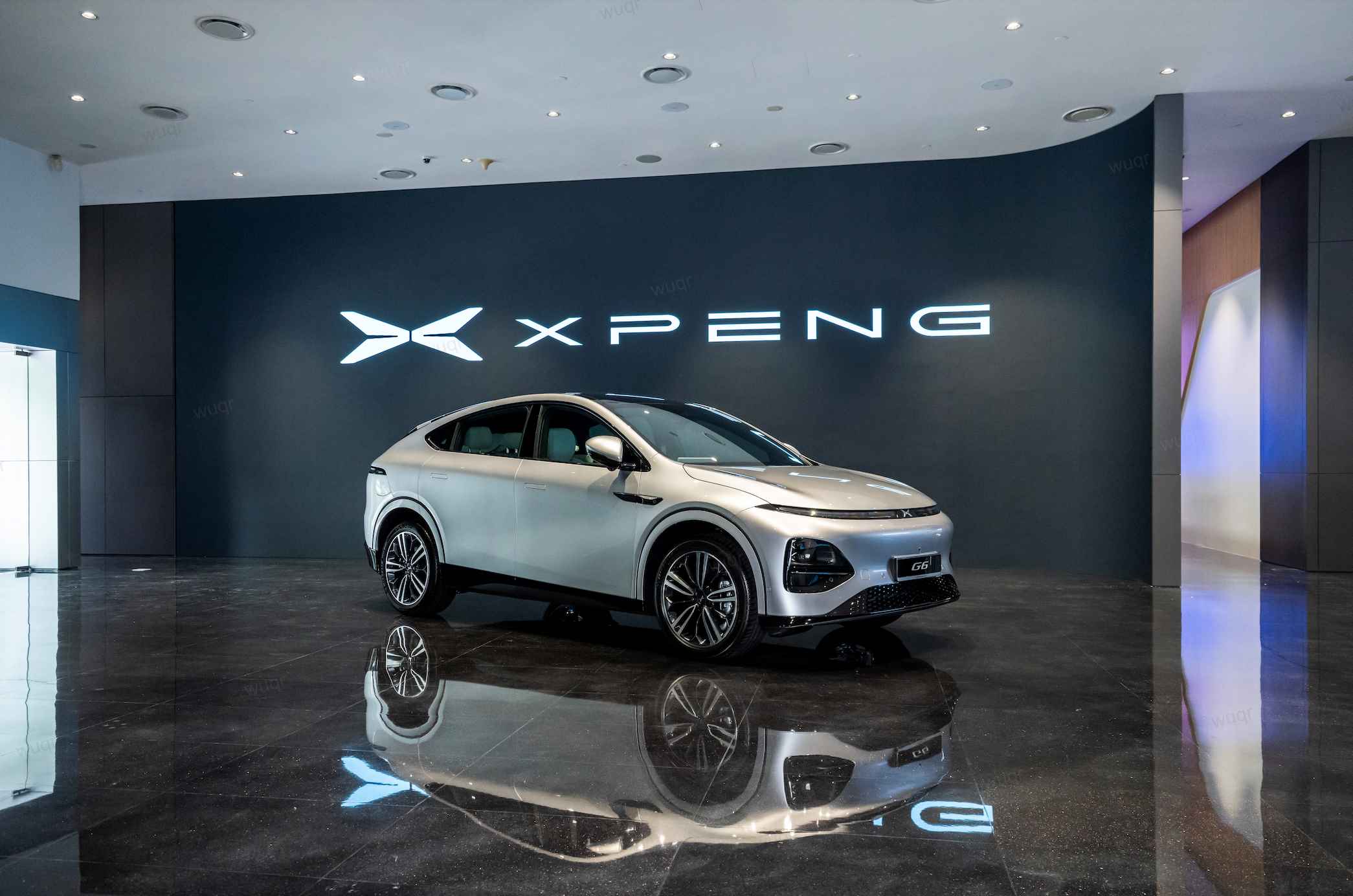 EV Sales & Distribution